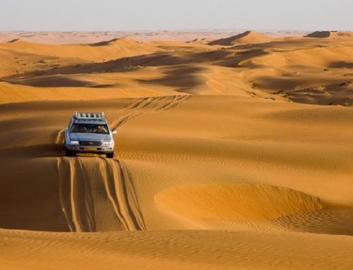 OMAN 2022 “Natura & Cultura”