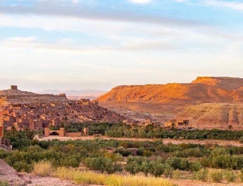 MAROCCO DEL SUD & FES