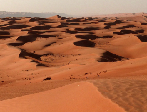 OMAN 2023/2024 “Natura & Cultura”